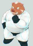  2022 absurd_res anthro belly big_belly brown_body bulge clothed clothing hi_res kemono kipchin_2nd00 male mammal overweight overweight_male simple_background skinsuit solo suid suina sus_(pig) tight_clothing wild_boar 
