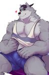  &lt;3 absurd_res anthro baseball_cap biceps canid canine canis clothing fur grey_body grey_fur hat headgear headwear hi_res looking_at_viewer male mammal moshihun muscular muscular_anthro muscular_male pecs shirt simple_background smile solo tank_top topwear white_background wolf wolf_(we_baby_bears) 