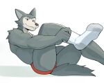  2022 anthro beastars biceps big_muscles canid canine canis clothed clothing eyebrows footwear fur furgonomics hi_res jrjresq legoshi_(beastars) looking_at_viewer male mammal muscular muscular_anthro muscular_male scar shadow simple_background sitting smile sock_pull socks solo topless topless_anthro topless_male tuft underwear white_background wolf 