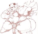  2022 anthro asian_clothing balls belly big_belly canid canine clothing east_asian_clothing fundoshi genitals hi_res humanoid_hands japanese_clothing kemono male mammal moobs overweight overweight_male raccoon_dog simple_background solo suishou0602 tanuki underwear 