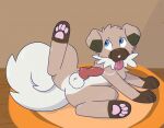  autofellatio balls bodily_fluids canid canine canis cum cum_drip domestic_dog dripping feral floppy_ears generation_7_pokemon genital_fluids genitals hi_res knot knotted_penis male mammal masturbation nintendo oral oral_masturbation penile penile_masturbation penis pokemon pokemon_(species) rockruff solo vixeyhuskybutt 