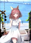  1girl animal_ears blush braid brown_hair buena_vista_(umamusume) checkered_hairband closed_mouth commentary_request dress eakon_7bit ear_covers hair_ribbon hairband highres horse_ears horse_girl horse_tail long_hair looking_at_viewer multicolored_hair ocean railroad_crossing railroad_tracks ribbon ribbon_braid side_braids smile solo streaked_hair sundress tail umamusume white_dress white_streaks 