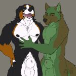 animal_genitalia animal_penis animated anthro balls bernese_mountain_dog black_body black_fur breath brown_body brown_fur canid canine canine_genitalia canine_penis canis claws cross domestic_dog duo fur genitals german_shepherd green_body green_eyes green_fur hand_on_belly hand_on_sheath herding_dog jewelry lucas_(lucasreturns) male male/male mammal molosser mountain_dog necklace nipples nude open_mouth panting pastoral_dog penis penis_poking_out penis_tip rhox rhox_(character) rubbing sheath simple_background smile smirk squeezing swiss_mountain_dog tail tail_motion tailwag teeth tongue tongue_out white_body white_fur