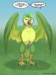 absurd_res animal_genitalia aroused avian bird claws colored erection feathered_wings feathers feral genitals grass hi_res javan_(species) male ollie_(swapped_movie) penis plant pookoo shaded sketch sky solo species_transformation standing swapped_(movie) thathornycat transformation wings