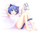  :3 :d animal_ears armpits barefoot bed_sheet blue_eyes blue_hair cat_ears cat_tail censored convenient_censoring fang feet flyer highres naked_sheet nude onka open_mouth original short_hair smile solo tail tail_censor translated usashiro_mani 