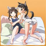  :d ahoge animal_ears ass bad_anatomy bad_feet barefoot black_hair blush brown_eyes brown_hair cameltoe eyepatch fat_mons kneepits legs looking_back mozu_(peth) multiple_girls one-piece_swimsuit open_mouth petite pillow ponytail sakamoto_mio school_swimsuit smile strike_witches swimsuit tail takei_junko world_witches_series yellow_eyes 