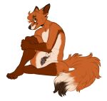  andromorph animal_genitalia animal_pussy anthro canid canine canine_pussy claws fox genitals hoot_(artist) intersex kaimstain mammal nude pussy simple_background sitting solo toe_claws white_background 