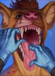  a&#039;wip_(charli_sox) absurd_res ambiguous_gender anthro blue_eyes bodily_fluids brown_body brown_fur clothing fur gloves hands_in_mouth handwear hi_res hyaenid latex_gloves male mammal mawplay mouth_shot open_mouth riorix saliva saliva_on_tongue saliva_string scar sharp_teeth solo teeth 