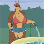  2022 5_fingers abs anthro athletic athletic_anthro athletic_female beer_bottle big_breasts bikini bikini_top bottle bottomwear breasts brown_body brown_fur canid canine canis claws cleavage clothed clothing cutoffs denim denim_clothing digit_ring dobermann domestic_dog eyewear female finger_claws fingers fur garden_hose greasymojo hi_res humanoid_hands inflatable_pool jewelry mammal navel pink_nose pinscher ring shorts signature smile solo standing sunglasses swimwear tracy_porter water wedding_ring 
