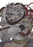  abs anthro bandage biceps blood bodily_fluids bottomwear braided_hair braided_ponytail canid canine canis clothed clothing coat dagger fangs fur fur_markings grey_body grey_fur hair klaus_(world_flipper) long_hair male mammal markings melee_weapon multicolored_body multicolored_fur muscular muscular_anthro muscular_male navel open_clothing open_coat open_topwear orenjimaru painting_(artwork) pants pecs red_eyes solo topwear traditional_media_(artwork) watercolor_(artwork) weapon white_body white_fur white_hair wolf world_flipper wounded wristband 