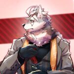  accessory braided_hair braided_ponytail canid canine canis clothing coat fangs fur fur_markings grey_body grey_fur hair hair_accessory hi_res klaus_(world_flipper) male mammal markings necktie red_eyes resub221 scarf solo suit thick_neck topwear vest white_body white_fur wolf world_flipper 