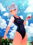  1girl animal_ear_fluff animal_ears bangs black_one-piece_swimsuit blue_archive blue_eyes blue_sky breasts cloud commentary_request competition_swimsuit conch covered_navel cowboy_shot cross_hair_ornament day extra_ears grey_hair hair_ornament halo highres looking_at_viewer low_ponytail medium_breasts medium_hair mountain multicolored_clothes multicolored_swimsuit one-piece_swimsuit outdoors seaweed shiroko_(blue_archive) shiroko_(swimsuit)_(blue_archive) sky standing swimsuit usadadx 