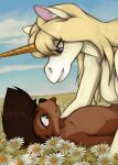 adora anthro blep duo equid equine female field flower hi_res horse keith lutrine male male/female mammal marsminer meadow mustelid nude plant tongue tongue_out 