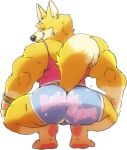  anthro barefoot big_muscles black_nose blush bottomwear bulge butt canid canine canis clothing crouching cursedmarked domestic_dog feet fur herding_dog looking_at_viewer looking_back male mammal muscular muscular_anthro muscular_male pastoral_dog shirt shorts simple_background smile solo tank_top topwear welsh_corgi white_background yellow_body yellow_fur 