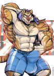  anthro big_muscles bulge dosan felid hi_res huge_muscles hyper hyper_muscles male mammal muscular muscular_male pantherine solo tiger 