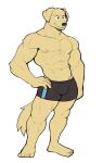  12:19 2022 abs anthro barefoot biceps big_muscles bulge canid canine canis clothed clothing domestic_dog eyebrows feet fur hand_on_hip hi_res jrjresq male mammal muscular muscular_anthro muscular_male navel nipples obliques pecs plantigrade simple_background smile solo standing topless topless_anthro topless_male tuft underwear white_background 