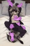 4_toes absurd_res anthro bed blush bottomwear clenched_teeth clothed clothing eyewear feet fingers foot_grab fur furniture greko_the_cat hair hi_res holding_arm lying male mammal on_back on_bed open_clothing open_shirt open_topwear pants pillow procyonid raccoon restrained restrained_arms restrained_legs sam(gonanne) shirt solo spread_legs spreading sunglasses teeth toes topwear