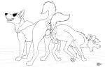 2025 absurd_res anal anal_knotting anal_penetration anal_tugging animal_genitalia animal_penis anus ass_to_ass balls black_and_white blake_(consensualcanine) bodily_fluids canid canine canine_genitalia canine_penis canis claws clothed clothed_feral clothed_male clothing consensualcanine cum cum_drip dated digital_media_(artwork) domestic_dog dripping duo erection eyewear feral feral_on_feral feral_penetrated feral_penetrating feral_penetrating_feral genital_fluids genitals german_shepherd headgear headwear herding_dog hi_res hoodie knot knotted_penis knotting line_art male male/male male_feral male_on_feral male_penetrated male_penetrating male_penetrating_feral male_penetrating_male mammal monochrome narrowed_eyes nurse_clothing nurse_headwear open_mouth open_smile orifice_tugging pastoral_dog pawpads paws penetration penile penile_penetration penis penis_in_ass puffy_anus rex_(rexthenurse) sex signature smile stuck_knot sunglasses toe_claws topwear vein veiny_penis year