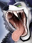  anthro black_nose blue_eyebrows blue_hair bodily_fluids bust_portrait canid canine eyebrows front_view fur glistening glistening_eyes green_eyes green_sclera grey_body grey_fur hair hi_res imperatorcaesar male male_anthro mammal mouth_shot open_mouth pink_tongue portrait saliva saliva_on_tongue saliva_string short_hair simple_background solo tongue white_body white_fur 