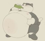 2026 alcohol anthro beer beer_bottle belly belly_inflation beverage big_belly blush bottle cafongterua chubby_cheeks clothing container digital_drawing_(artwork) digital_media_(artwork) dipstick_tail domestic_cat dress_shoes drinking eyes_closed felid feline felis footwear footwear_only glass_bottle huge_belly inflation liquid_inflation male mammal markings moobs mostly_nude navel nipples obese obese_anthro obese_male overweight overweight_anthro overweight_male pau_(cafongterua) shoes shoes_only socks solo tail tail_markings tuxedo_cat