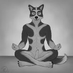  abs absurd_res animal_genitalia anthro balls black_body black_fur canid canine canis claws crossed_legs eyes_closed finger_claws fur fur_markings genitals grey_body grey_fur greyscale hi_res mak_lykan maklykan male mammal markings meditation monochrome muscle_tone notched_ear sheath sitting sitting_on_ground solo toe_claws wolf 