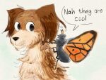 2026 2_antennae 4_legs ambiguous_feral ambiguous_gender anthro arthropod arthropod_abdomen black_nose brown_body brown_eyes brown_fur butterfly canid canine canis countershade_fur countershading crown dialogue digital_media_(artwork) disney domestic_dog duo english_text eyespots feral fur grey_body grin headgear hi_res hoppers_(disney) insect insect_wings lepidopteran lepidopteran_wings mammal markings monotone_body mouth_closed multicolored_wings nude_anthro nude_male open_mouth open_smile orange_wings pixar quadruped ruff simple_background smile speech_bubble teeth text thekaygi titus_(hoppers) toothy_grin white_body white_countershading wings