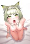  1girl absurdres animal_ear_fluff animal_ears arknights bangs bed_sheet blur_censor blush breasts cat_ears censored collarbone da39123 detached_collar from_above green_eyes green_hair heart heart-shaped_pupils heavy_breathing highres kal&#039;tsit_(arknights) looking_at_viewer looking_up maid_headdress medium_breasts navel nipples nude on_bed open_mouth pussy seiza short_hair sitting solo symbol-shaped_pupils tongue tongue_out wrist_cuffs 