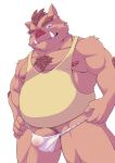  2021 anthro asian_clothing balls brown_body clothing east_asian_clothing fundoshi genitals hi_res humanoid_genitalia humanoid_hands humanoid_penis japanese_clothing kemono male mammal moobs murasaki14134 nipples overweight overweight_male penis shirt simple_background solo suid suina sus_(pig) topwear underwear white_background white_clothing white_fundoshi white_underwear wild_boar 