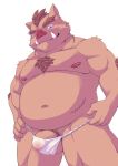  2021 anthro asian_clothing balls belly brown_body clothing east_asian_clothing fundoshi genitals hi_res humanoid_hands japanese_clothing kemono male mammal moobs murasaki14134 navel nipples overweight overweight_male penis scar simple_background solo suid suina sus_(pig) underwear white_background white_clothing white_fundoshi white_underwear wild_boar 