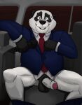  anthro bodily_fluids car clothing disney erection foreskin genitals giant_panda hi_res lewd_latte male mammal medium_truck microphone penis solo suit sweat truck_(vehicle) ursid van vehicle zootopia 