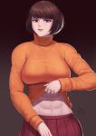  1girl abs absurdres bangs bob_cut breasts brown_eyes brown_hair clothes_lift highres impossible_clothes impossible_sweater large_breasts lifted_by_self lips looking_at_viewer midriff multiple_views muscular muscular_female navel no_eyewear orange_sweater pleated_skirt red_eyes red_skirt scooby-doo shirt_lift short_hair skirt smirk speedl00ver sweater sweater_lift taut_sweater turtleneck turtleneck_sweater velma_dace_dinkley 