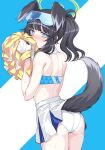  1girl animal_ears ass back bangs bare_shoulders black_hair blue_archive blue_background blue_eyes blush breasts cheerleader clothes_lift covering_mouth crop_top dog_ears dog_girl dog_tail eyewear_on_head goggles goggles_on_head halo hibiki_(blue_archive) hibiki_(cheerleader)_(blue_archive) kumadano long_hair looking_at_viewer miniskirt mouth_hold panties pom_pom_(cheerleading) skirt skirt_lift solo sunglasses sweat tail thighs twintails underwear white_panties 