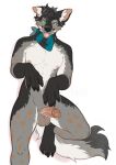  anthro balls black_body black_fur black_hair black_kerchief black_neckerchief black_nose blep blue_eyes blue_kerchief blue_neckerchief brown_body brown_fur canid erection front_view fur genitals green_eyes grey_balls grey_body grey_fur hair heterochromia hi_res humanoid_genitalia humanoid_penis kerchief kneeling male mammal messy_hair narrowed_eyes neckerchief nude orange_eyes penis pink_penis pupbii signature simple_background solo spots spotted_body spotted_fur tongue tongue_out white_background white_body white_fur 