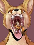  3:4 absurd_res ambiguous_gender anthro black_nose bodily_fluids brown_body brown_fur canid canine cheek_tuft duo facial_tuft fangs fennec fox front_view fur hi_res imperatorcaesar in_mouth lying male mammal micro mouth_shot neck_tuft nude on_front on_tongue open_mouth oral_vore orange_body orange_eyes orange_fur pink_tongue saliva saliva_string simple_background tan_body tan_fur tongue tuft unsigned vore 