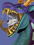  3:4 absurd_res anthro blue_background blue_body blue_eyes bodily_fluids canid dragon duo fangs feral forked_tongue fur glistening glistening_eyes grey_body grey_fur hi_res imperatorcaesar in_mouth male mammal mouth_closed mouth_shot open_mouth oral_vore pupils purple_body saliva saliva_on_tongue saliva_string simple_background slit_pupils tongue unsigned vore yellow_teeth 