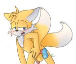  alpha_channel anthro balls blue_body blue_eyes canid canine digital_media_(artwork) duo erection fox fur genitals hair hi_res male mammal miles_prower nate_foster nude penetration penis sega sex smile solo sonic_the_hedgehog_(series) yellow_body 