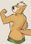  2022 anthro athletic athletic_anthro athletic_male bottomwear bottomwear_down butt canid canine clothed clothing eyebrows flexing fox fox_mccloud fur grey_background hair haps hi_res male mammal nintendo pants pants_down partially_clothed signature simple_background solo star_fox topless topless_anthro topless_male tuft video_games 