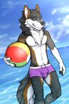  anthro ball beach beach_ball canid canine canis clothed clothing clyde_wolf digital_media_(artwork) fur hi_res inflatable looking_at_viewer male mammal outside seaside simple_background smile solo swimming_trunks swimwear topless water wolf 