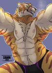  anthro bulge felid hi_res male mammal muscular october_(thisfurhere) pantherine solo tiger zawn 