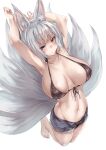  1girl alexi_oekaki animal_ears armpits arms_up azur_lane barefoot bikini black_bikini black_ribbon black_shorts blue_eyes breasts cleavage closed_mouth collarbone fox_ears fox_girl fox_tail front-tie_bikini_top front-tie_top full_body grey_hair highres kaga_(azur_lane) kneeling large_breasts looking_at_viewer multiple_tails navel open_clothes open_fly open_shorts ribbon short_hair short_shorts shorts simple_background solo stomach swimsuit tail white_background 