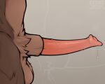  5:4 anatomically_correct animal_genitalia animal_penis anthro balls bodily_fluids brown_bear brown_body brown_fur clyde_wolf digital_media_(artwork) erection fur genital_fluids genitals male mammal musk nude penis sheath simple_background solo ursid ursine ursine_penis 