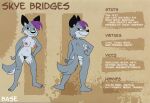  butch_(disambiguation) canid canine canis collar female gray mammal model_sheet wolf 