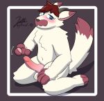 anthro balls canid flat_colors fluffy fur genitals hi_res horn jettacat knot looking_at_viewer male mammal markings paws penis pent_up red_body red_fur simple_background solo tail_markings white_body white_fur 