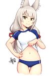  animal_ears belly bloomers hair_ornament hand_on_hip mateus_upd navel nia_(xenoblade) school_swimsuit swimsuit underwear white_hair xenoblade_chronicles_(series) xenoblade_chronicles_2 