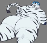  2022 absurd_res anthro belly big_butt blue_hair butt felid hair hi_res lustyshu lying male mammal overweight overweight_male pantherine pink_nose simple_background solo tiger white_body 