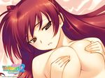  artist_request blush breast_squeeze breasts brown_eyes covering covering_breasts kousaka_tamaki large_breasts long_hair nipples nude red_hair solo to_heart_2 