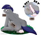 absurd_res alpha_channel anatomically_correct animal_dildo animal_sex_toy anus athletic big_dildo blush bodily_fluids butt darkened_genitalia dildo dildo_sitting english_text equid equine equine_dildo fan_character female female/female feral genital_fluids genitals happy hasbro hi_res horse leatherbak looking_back mammal masturbation medial_ring my_little_pony nude penetration pony presenting puffy_anus raised_tail ridiculous_fit sex_toy simple_background slim smile solo spread_legs spreading tail text vaginal vaginal_fluids vaginal_penetration veiny_dildo vulva x-ray_view