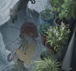  1girl cardigan cat collared_shirt commentary grey_cat hair_between_eyes highres holding holding_umbrella koko_4 long_bangs low_twintails original plant pleated_skirt potted_plant puddle rain reflection reflective_liquid shirt skirt solo twintails umbrella untranslatable_commentary 