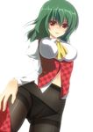  amanagi_seiji bad_id bad_pixiv_id black_legwear bloom breasts colored_eyelashes crotch_seam green_hair jpeg_artifacts kazami_yuuka large_breasts looking_at_viewer navel no_pants panties panties_under_pantyhose pantyhose red_eyes short_hair solo thighband_pantyhose touhou underwear undressing unmoving_pattern white_background 