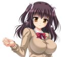  1girl aomi_riru black_hair blush bow bowtie breasts brown_cardigan cardigan closed_mouth collared_shirt game_asset hair_between_eyes hair_ribbon hand_up kogure_miori large_breasts large_variant_set long_hair long_sleeves looking_at_viewer non-web_source official_art red_bow ribbon school_uniform self-datamine shirt sidelocks simple_background smile solo standing tachi-e transparent_background two_side_up upper_body variant_set white_ribbon white_shirt yellow_eyes yumemi_ga_cheek! 